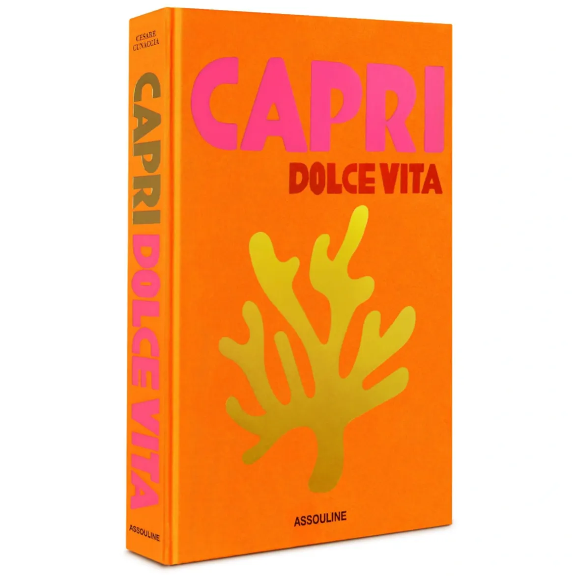 Capri Dolce Vita Book