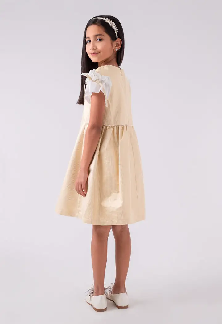 Cute Dress With Brooch